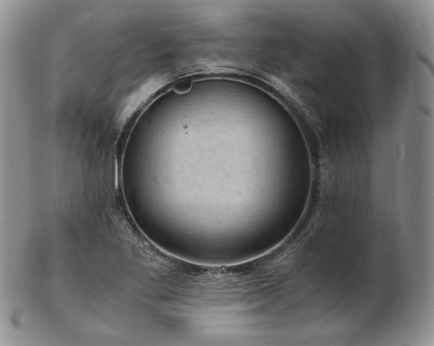 X0000103141269200808221208