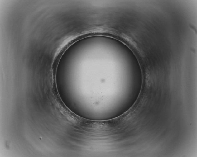 X0000103141270200808221208