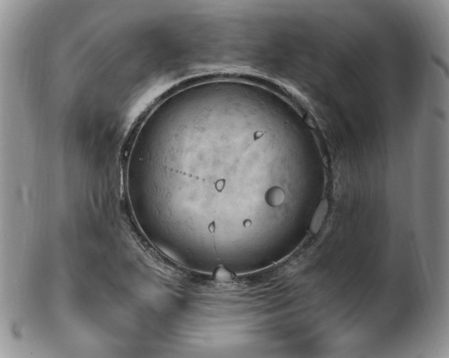 X0000103141271200808221208