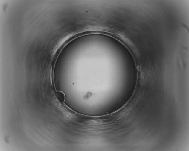 X0000103141272200808221208