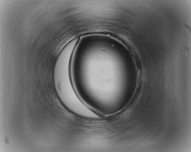 X0000103141273200808221208