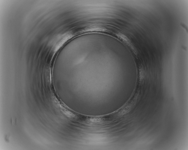 X0000103141274200808221208