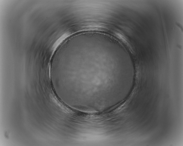 X0000103141275200808221208