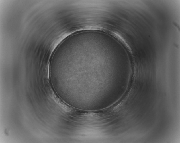 X0000103141276200808221208