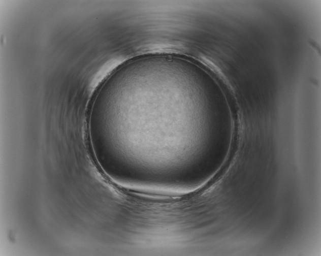 X0000103141277200808221208