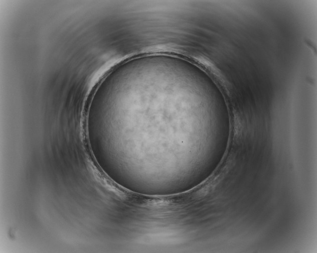 X0000103141278200808221208