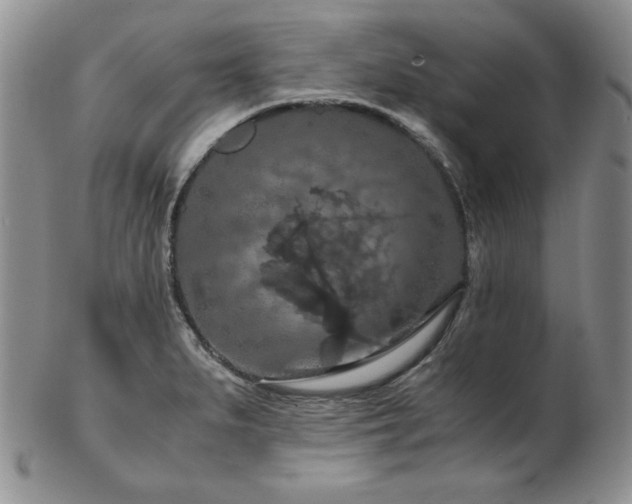 X0000103141279200808221208