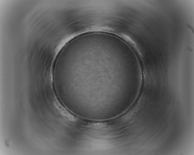 X0000103141280200808221208