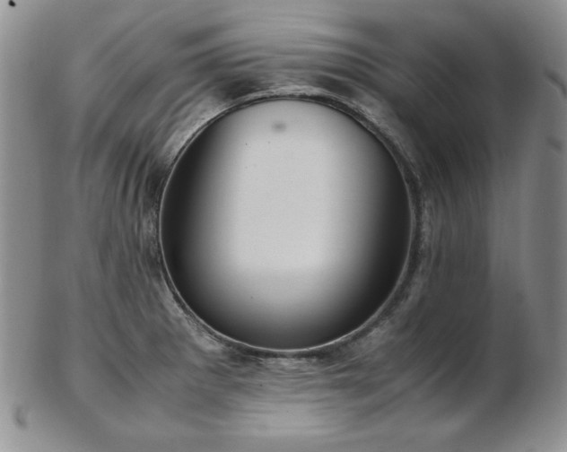 X0000103141281200808221208