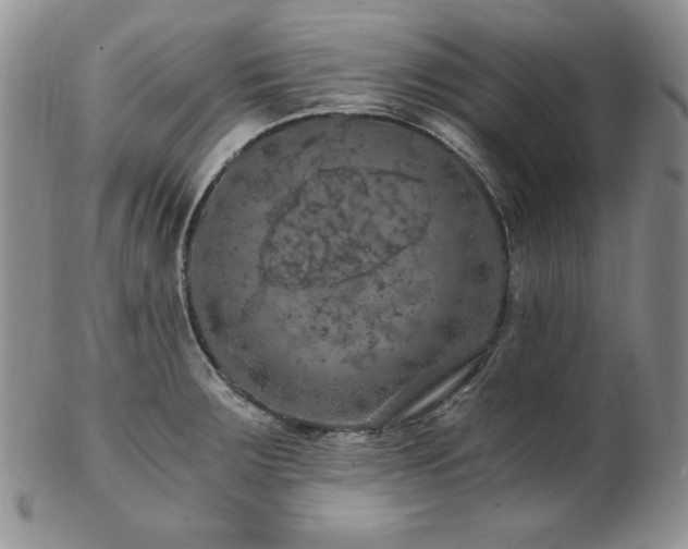 X0000103141283200808221208