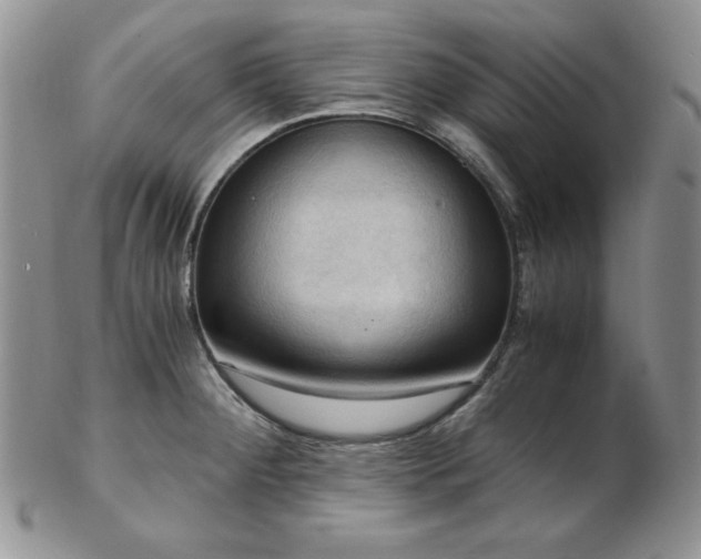 X0000103141284200808221208