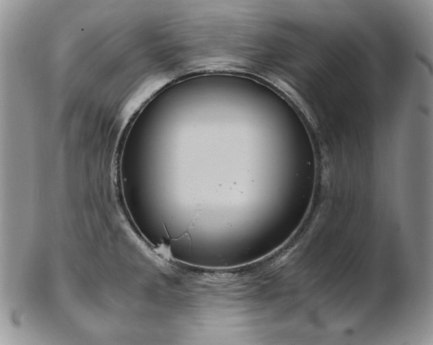 X0000103141285200808221208