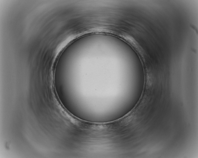 X0000103141286200808221208