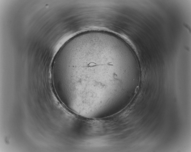 X0000103141287200808221208