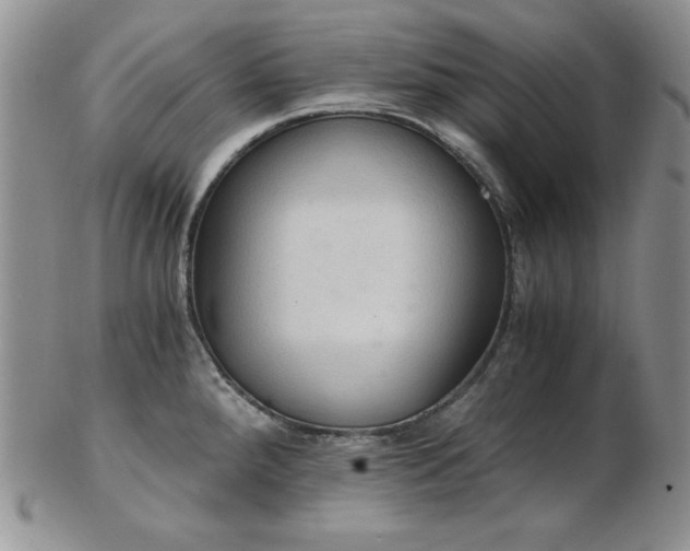 X0000103141288200808221208