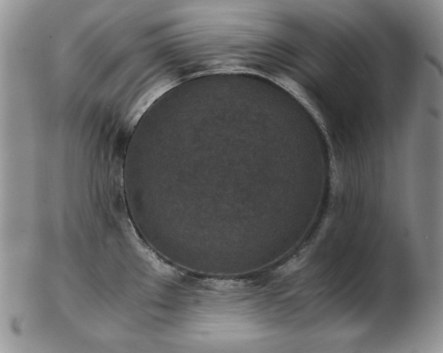 X0000103141289200808221208