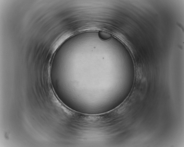 X0000103141290200808221208