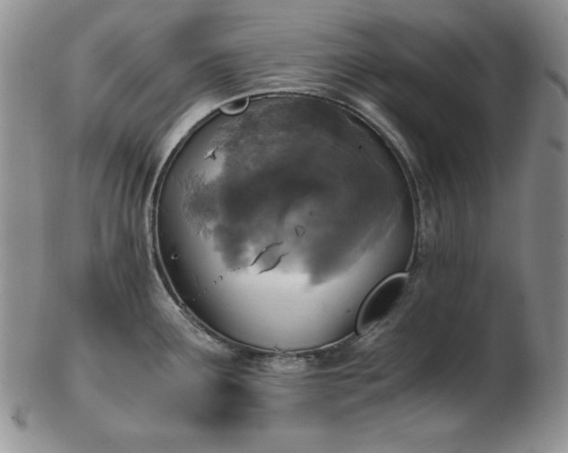 X0000103141291200808221208