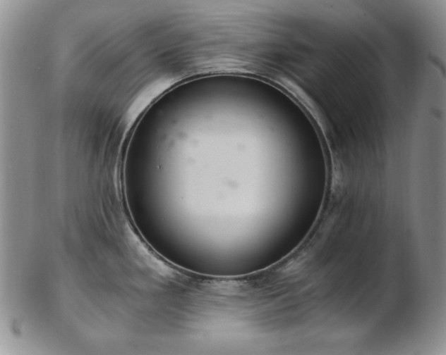 X0000103141293200808221208