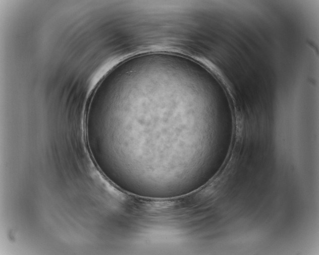 X0000103141294200808221208