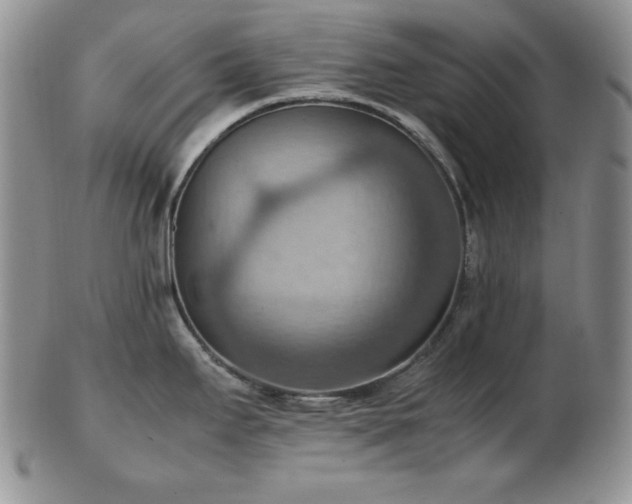 X0000103141295200808221208