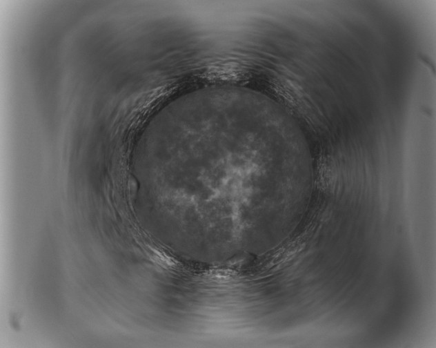 X0000103141297200808221207