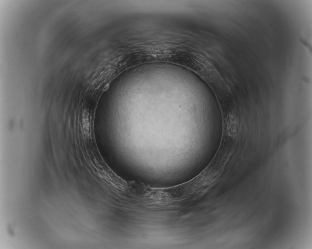 X0000103141298200808221207