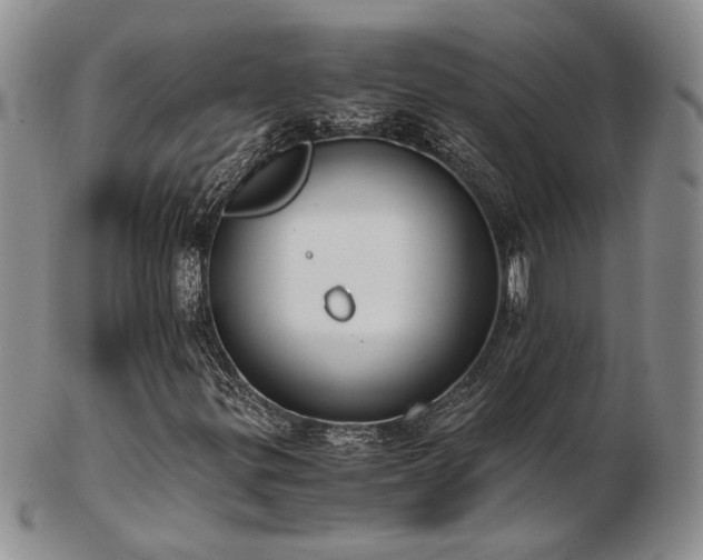 X0000103141299200808221207