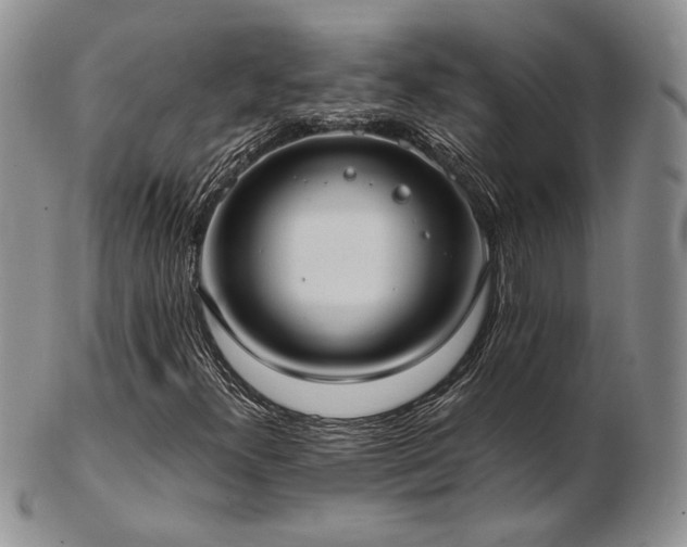 X0000103141300200808221207