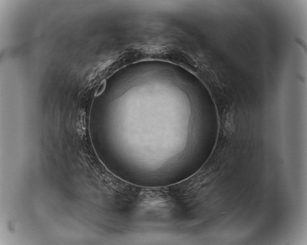 X0000103141301200808221207