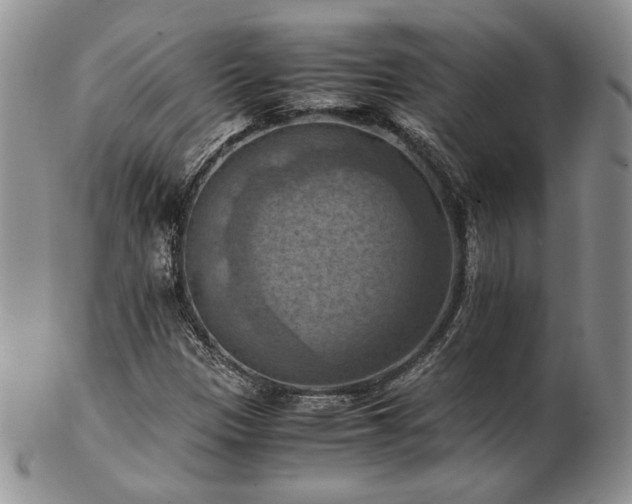 X0000103141305200808221207