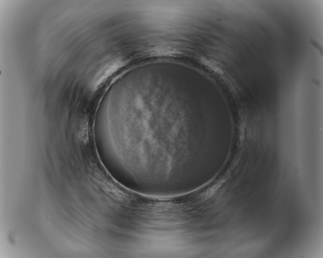 X0000103141306200808221207