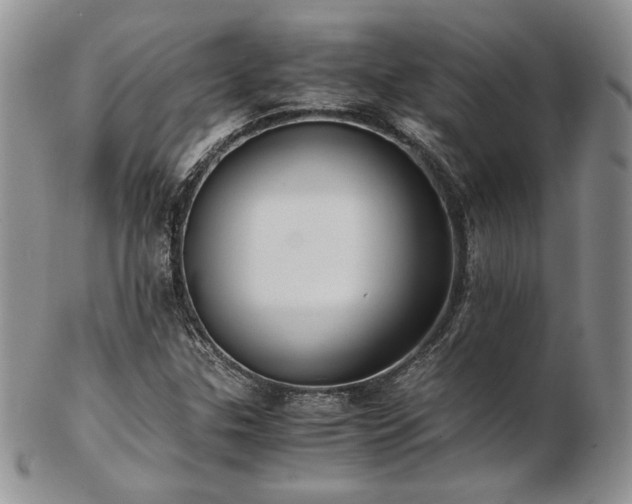 X0000103141307200808221207