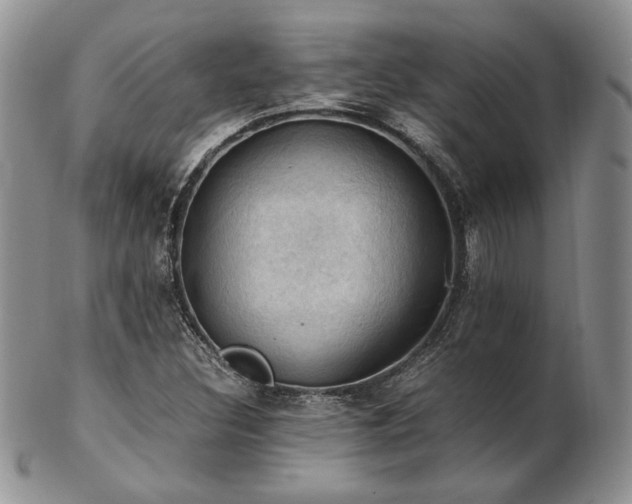 X0000103141308200808221207