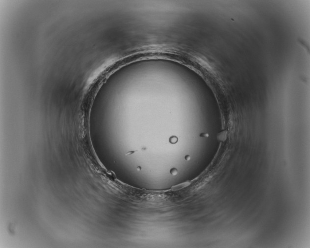 X0000103141310200808221207