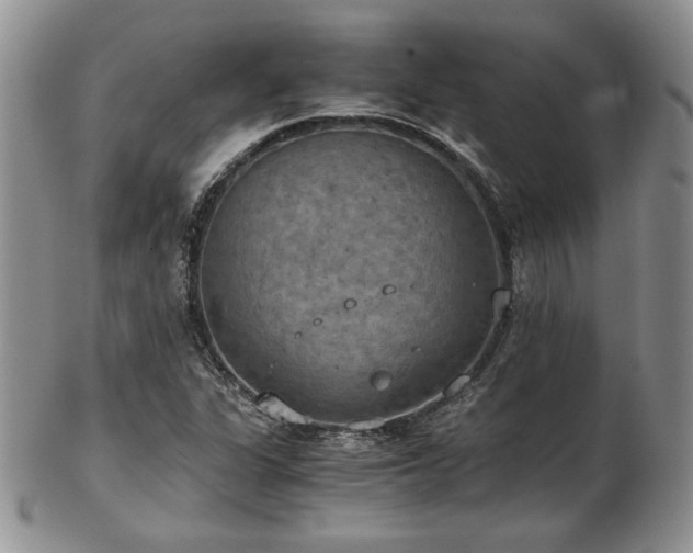 X0000103141311200808221207