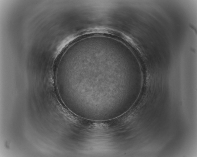 X0000103141312200808221207