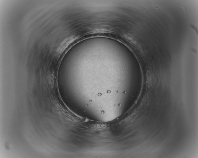 X0000103141313200808221207