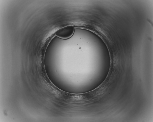 X0000103141315200808221207