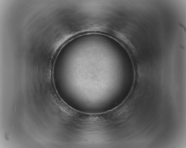 X0000103141316200808221207