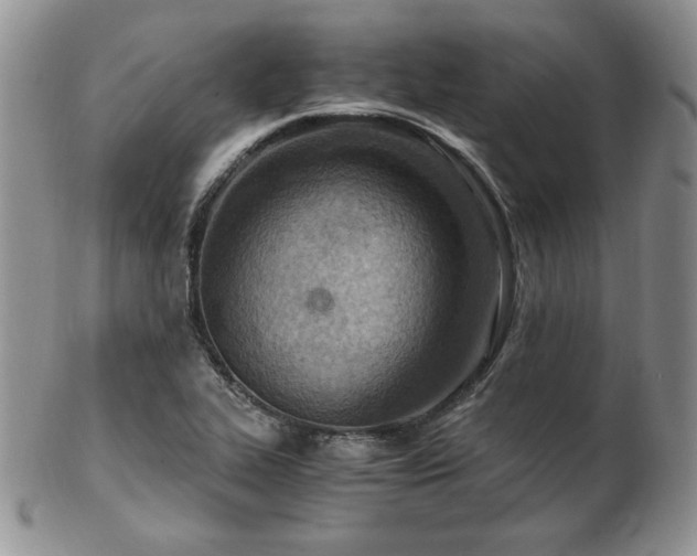 X0000103141319200808221207