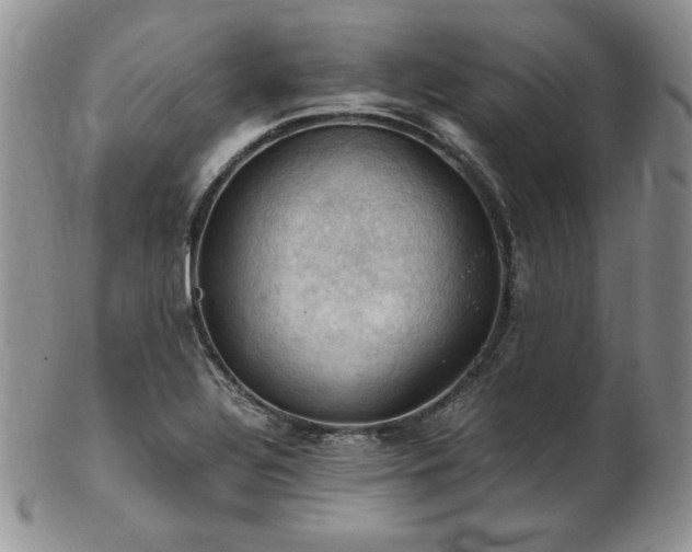 X0000103141320200808221207