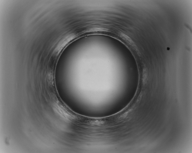 X0000103141321200808221207