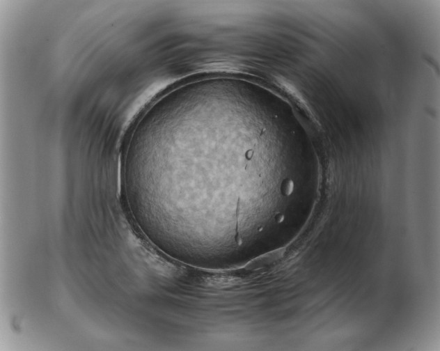 X0000103141323200808221207