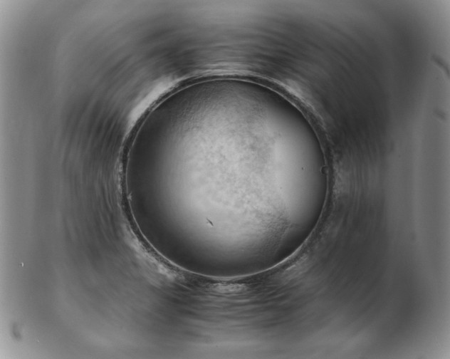 X0000103141325200808221207