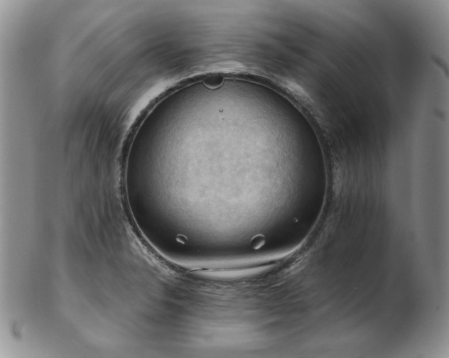 X0000103141326200808221207