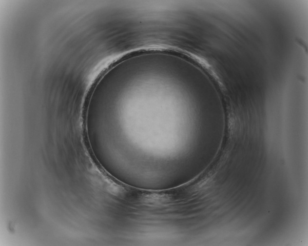 X0000103141327200808221207