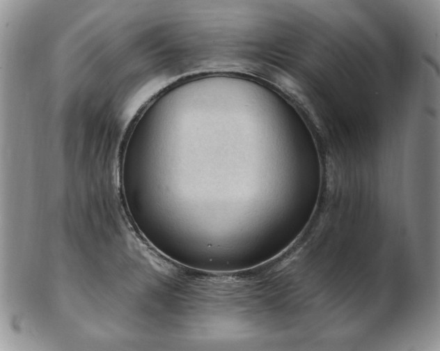 X0000103141328200808221207