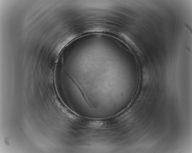 X0000103141329200808221207