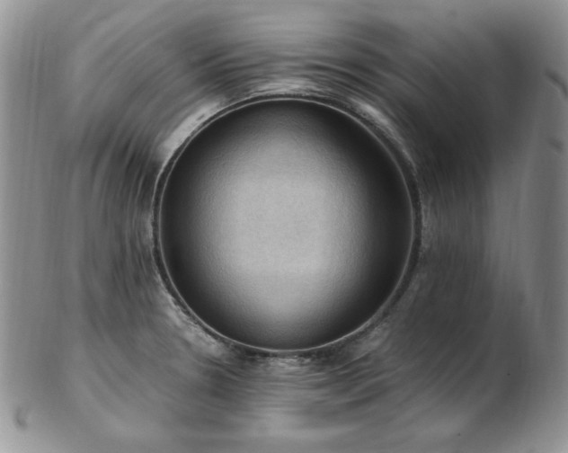 X0000103141330200808221207